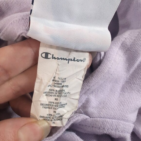 Champion Purple Lavender Hoodie Sweater Pullover XL Extra Large Long Sleeve Hood - Picture 10 of 10